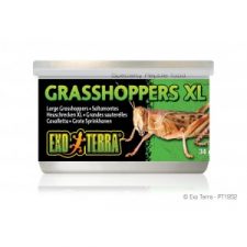 EXO-TERRA WILD GRASSHOPPERS XL – 34GM (1.2 OZ.)