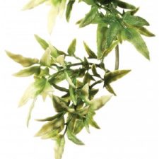 EXO TERRA FOREST PLANT – CROTON – SMALL