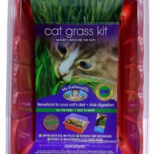 MR FOTHERGILL’S CAT GRASS – SPROUTING (INC. WA)